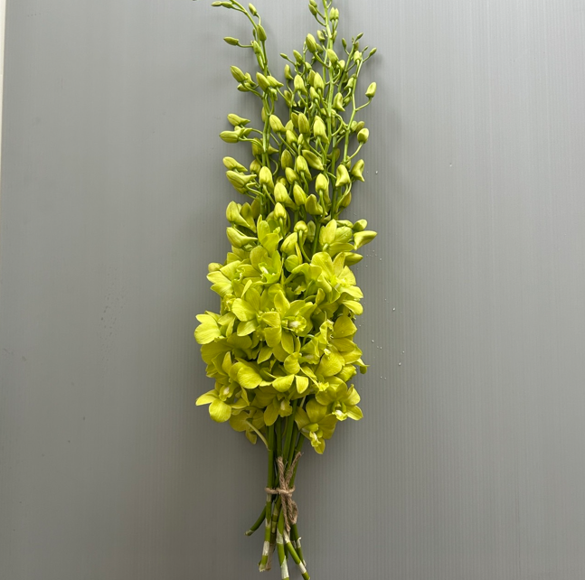 Green Lemon image